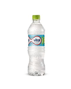 Vital sin Gas - 600ml Agua Mineral